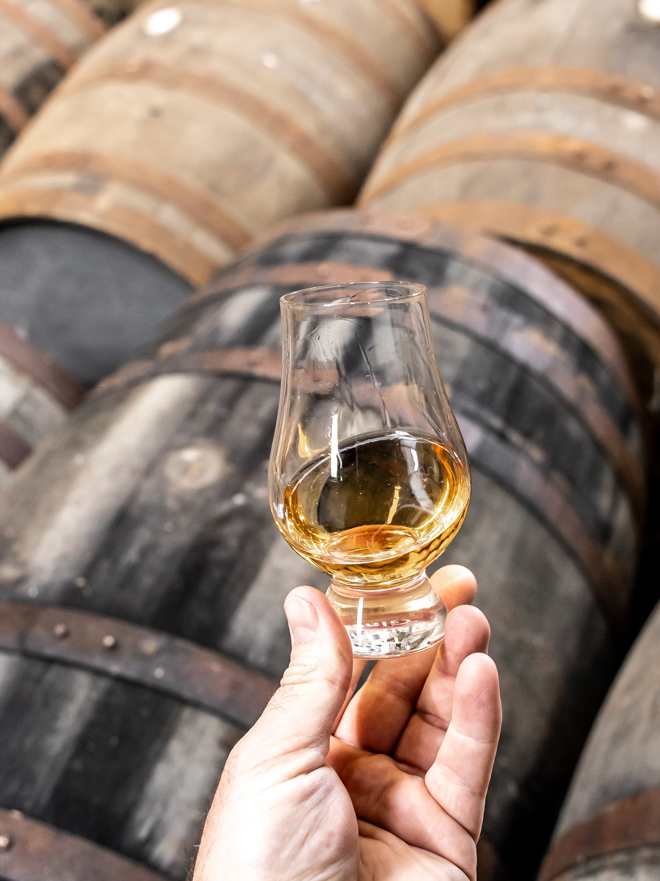 Holding a glass of whisky in front of barrels
