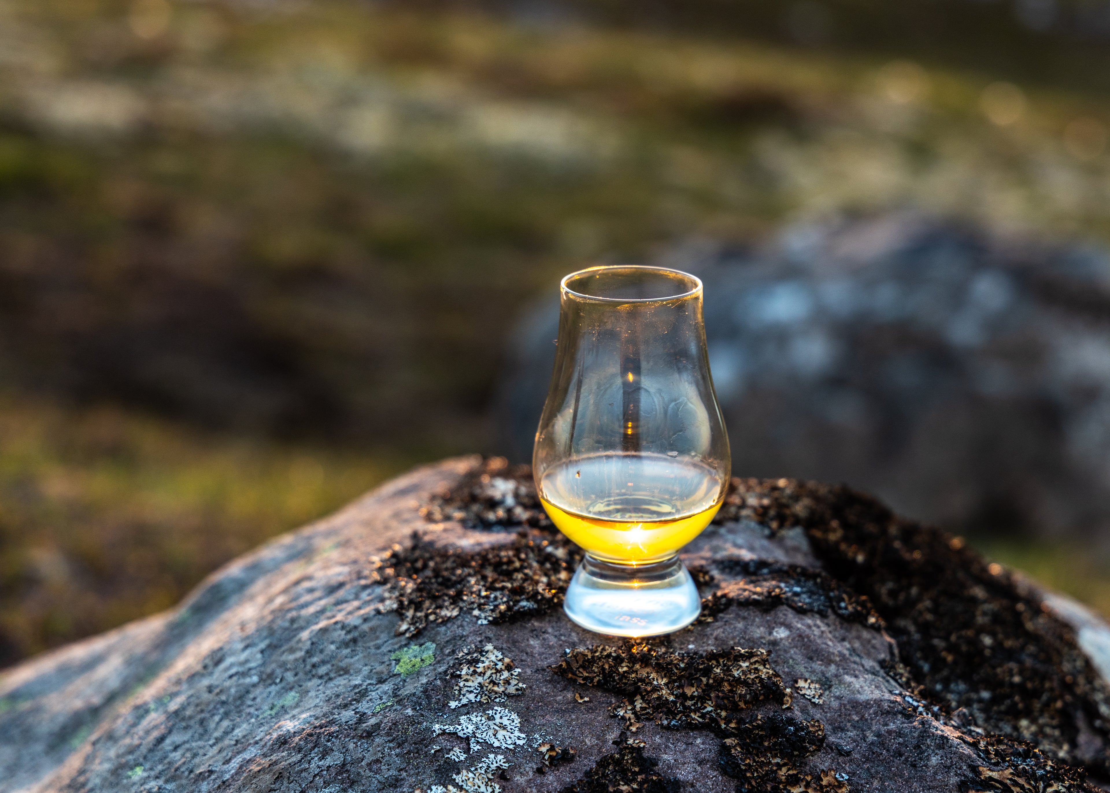 Dram of whisky on a mossy rock with heather in the background