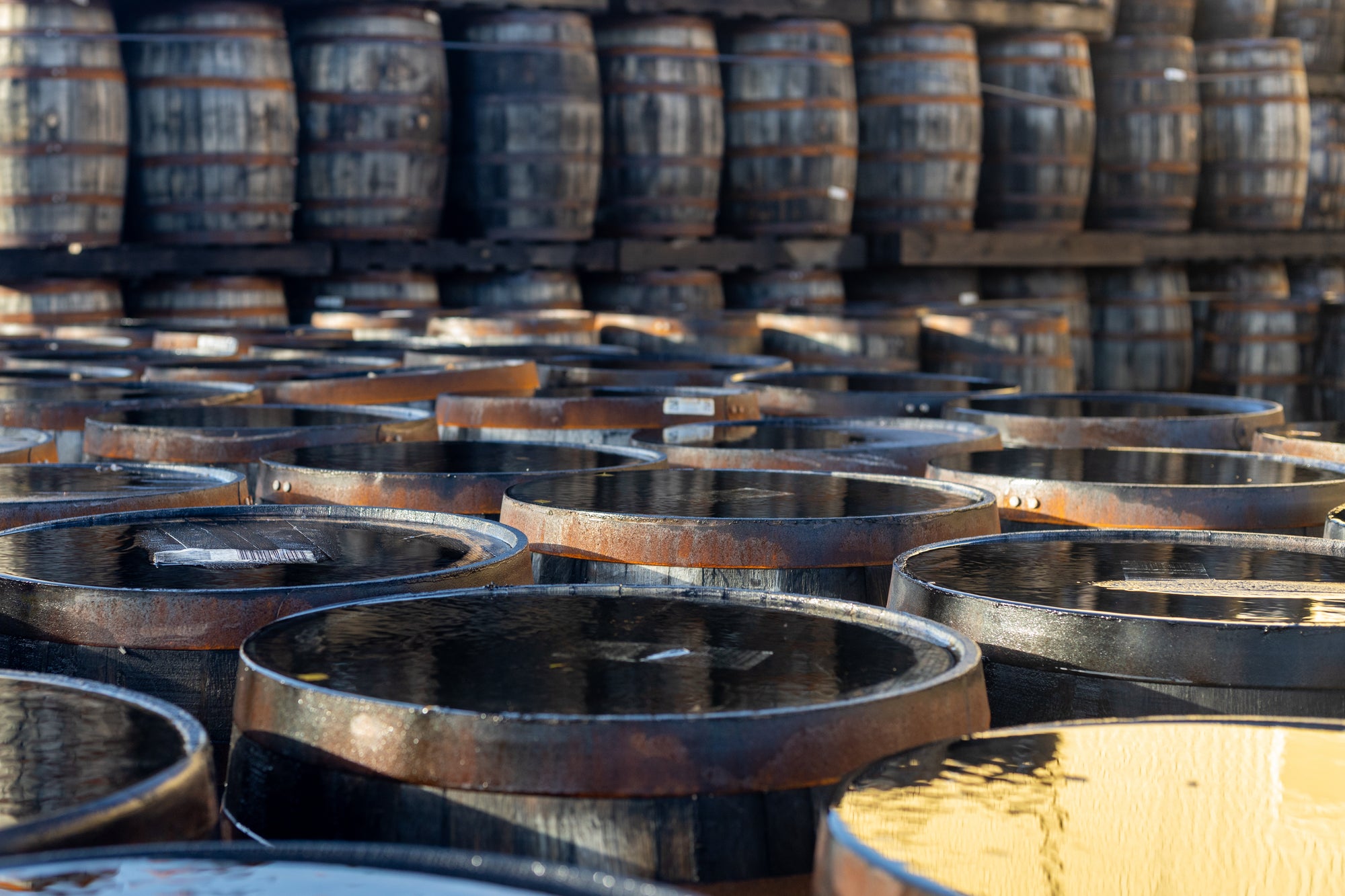 Looking across a whole load of whisky barrels and stacked up in the background