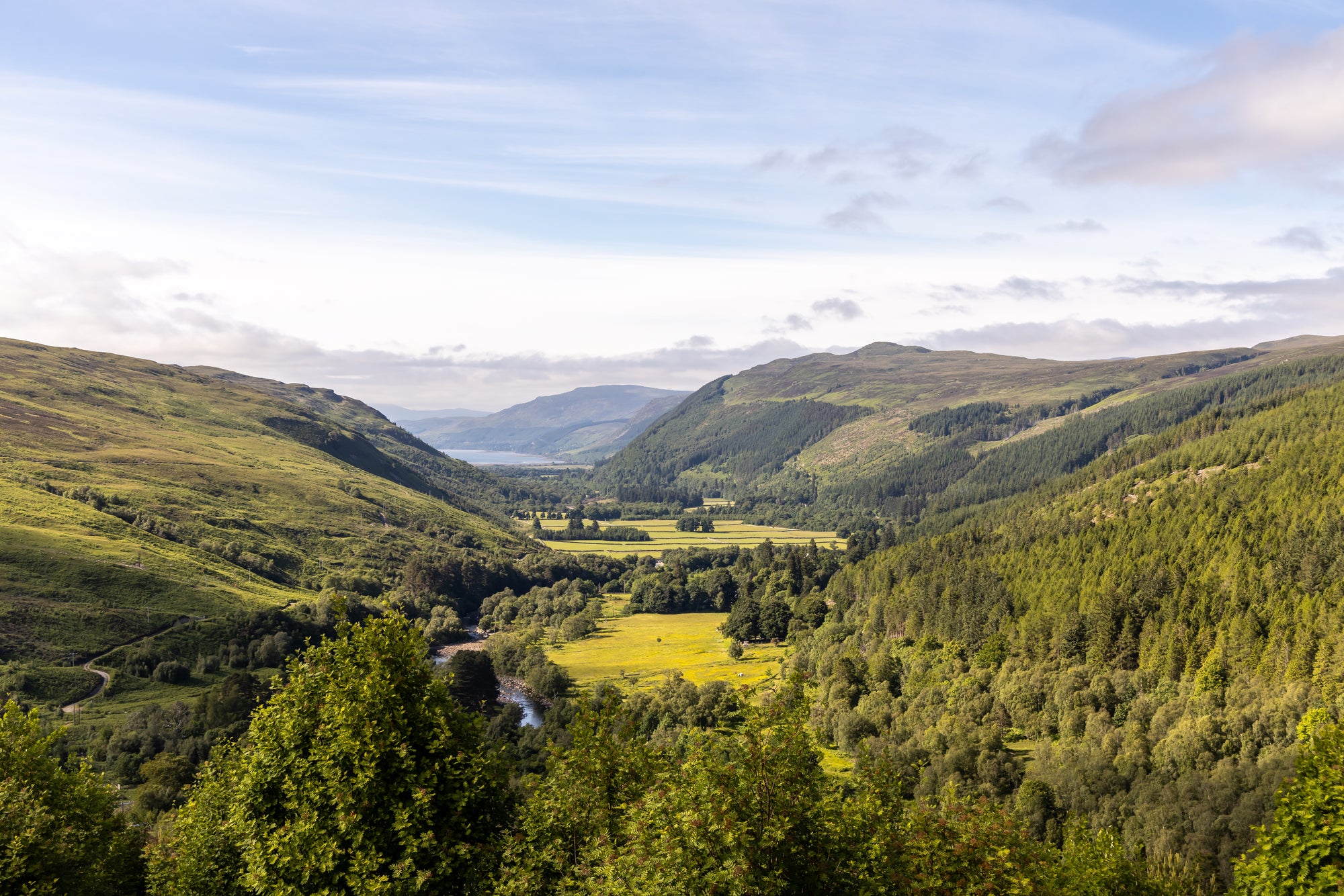 Landscape looking across a green forested valley with a loch at the end